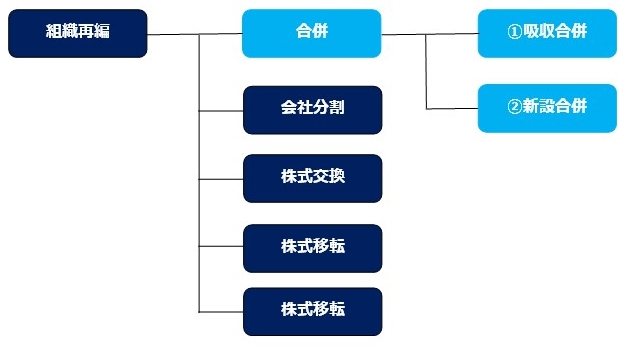 【組織再編】合併を読み解く！合併理解するにはまずはこれを見て！新設合併、吸収合併の概要 - 会計税務マート