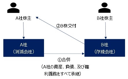 【組織再編】合併を読み解く！合併理解するにはまずはこれを見て！新設合併、吸収合併の概要 - 会計税務マート